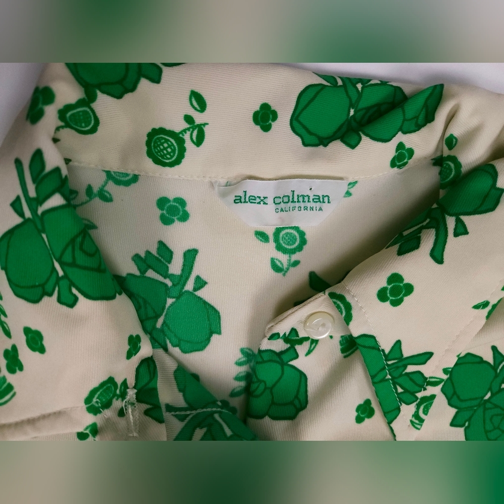 Alex Colman California Vintage 70s Point Collar Flowy Top Green Cream Small - Picture 7 of 16